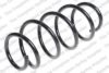 VW 6Q0411105N Coil Spring